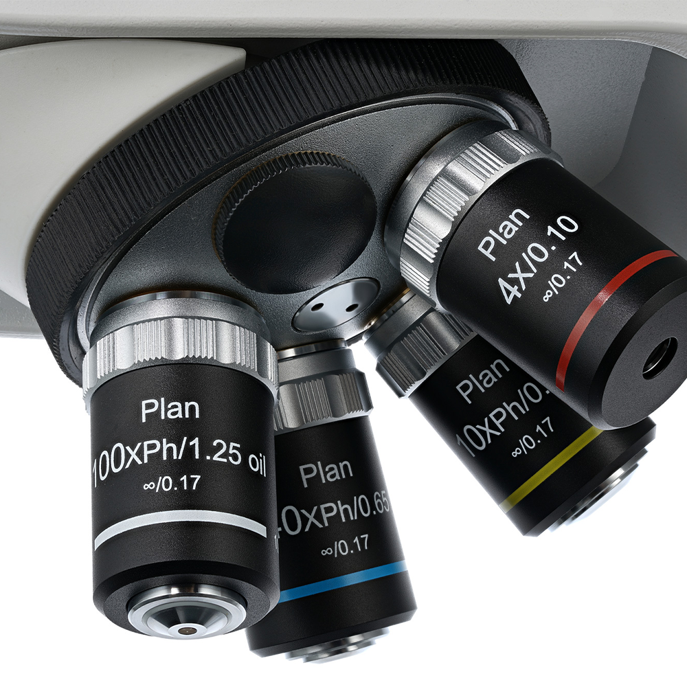 Microscopio Binocular LED Greatlab XSZ-166