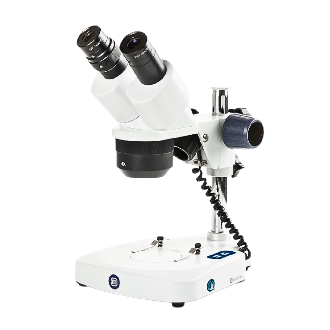Estereoscopio Binocular EUROMEX ED 1402 S